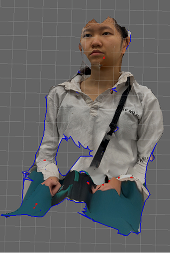3D scanned potrait, a lot is missing. Will dissapear when inspection using Meshmixer