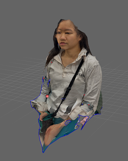 3D scanned potrait, a lot is missing. Will dissapear when inspection using Meshmixer