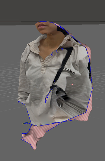 3D scanned potrait, a lot is missing. Will dissapear when inspection using Meshmixer
